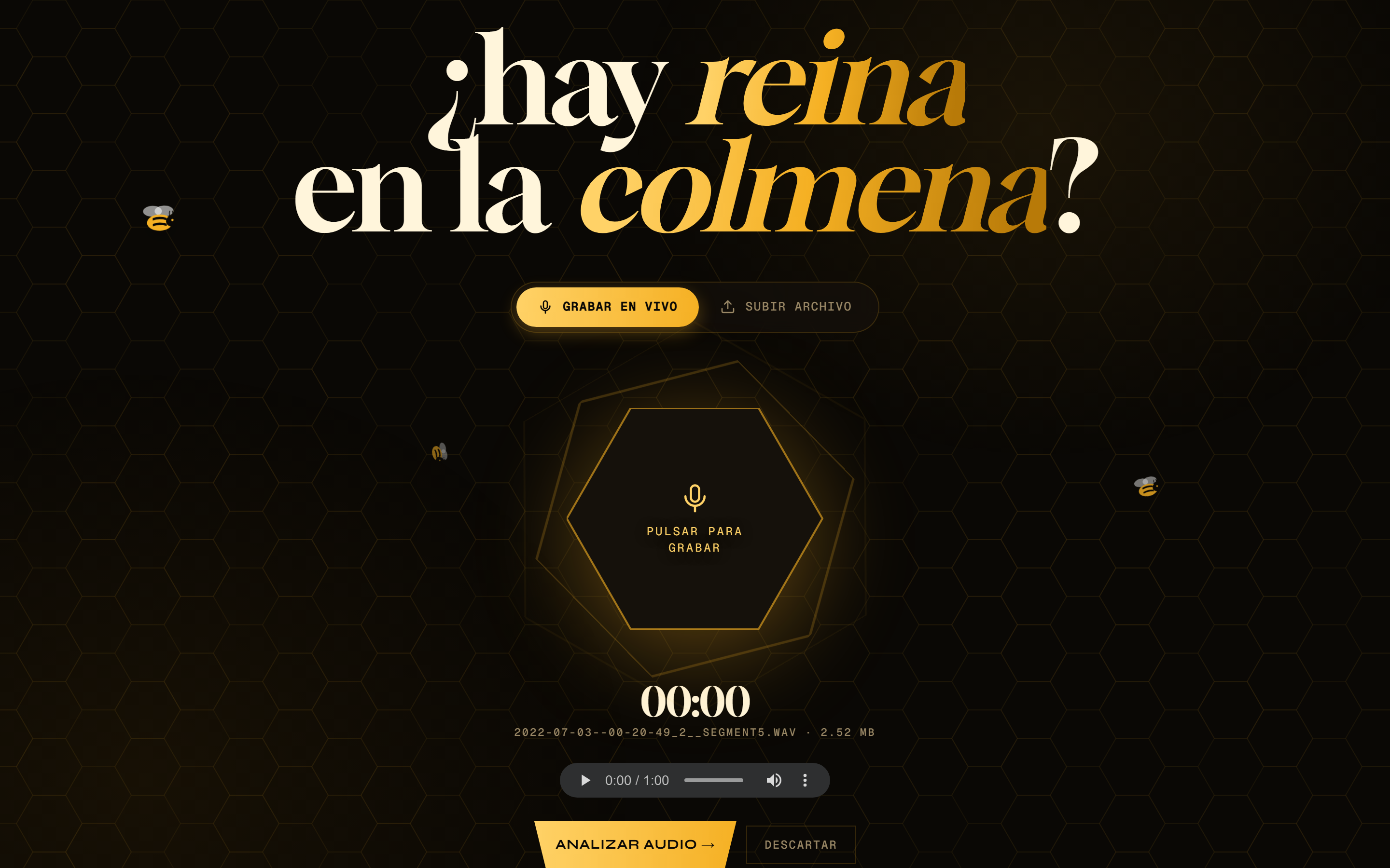 Audio cargado, listo para analizar.